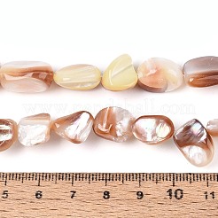 Natural Sea Shell Beads Strands&nbsp;SSHEL-N041-02B