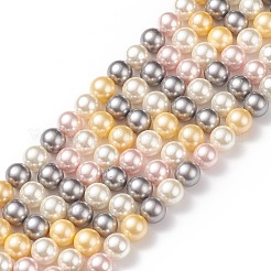 Shell Pearl Bead Strands&nbsp;BSHE-L017-17