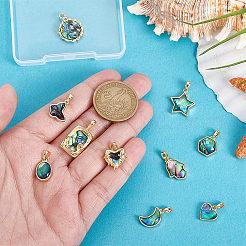 10Pcs 10 Styles Natural Paua Shell Pendants&nbsp;KK-PH0014-29