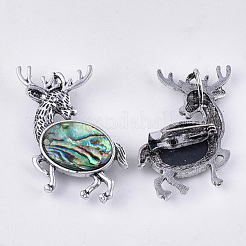 Abalone Shell/Paua Shell Brooches/Pendants&nbsp;RESI-S376-18