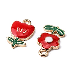 Alloy Pendants&nbsp;ENAM-AR0001-09-NR