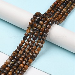 Natural Tiger Eye Beads Strands&nbsp;G-P500-02A-02