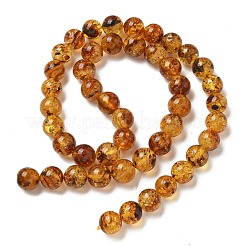 Natural Amber Beads Strands&nbsp;G-K387-D02-02