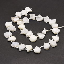 Natural Rainbow Moonstone Beads Strands&nbsp;G-E569-R01