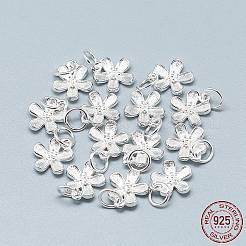 925 Sterling Silver Charms&nbsp;STER-T002-63S