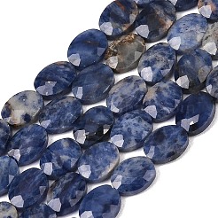 Natural Sodalite Beads Strands&nbsp;G-H349-A01-13