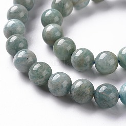 Natural Amazonite Beads Strands&nbsp;G-S333-8mm-005