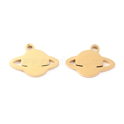304 Stainless Steel Charms&nbsp;STAS-O142-33G