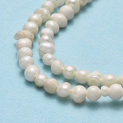Natural Cultured Freshwater Pearl Beads Strands&nbsp;X-PEAR-F018-11
