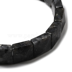 Natural Larvikite Beads Stretch Bracelets for Women Men&nbsp;BJEW-C097-06-06
