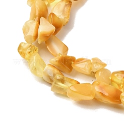 Natural Amber Beads Strands&nbsp;G-I389-A15
