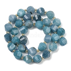 Dyed Natural Jade Beads Strands&nbsp;G-U023-A20-01F