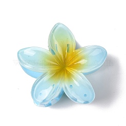 Plastic Claw Hair Clips&nbsp;OHAR-P020-08
