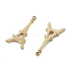 304 Stainless Steel Pendants&nbsp;STAS-Z121-35G