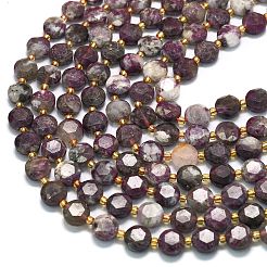 Natural Plum Blossom Tourmaline Beads Strands&nbsp;G-C116-A156-01