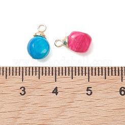 Dyed Natural Freshwater Shell Pendants&nbsp;PALLOY-JF05241