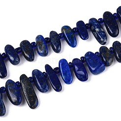 Natural Lapis Lazuli Beads Strands&nbsp;G-Z091-A23