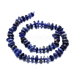 Natural Sodalite Beads Strands&nbsp;G-E569-J22