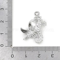 Alloy Pendants&nbsp;FIND-F013-07P