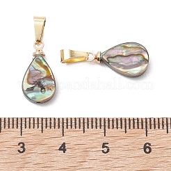 Abalone Shell/Paua Shell Pendants&nbsp;PALLOY-JF05263