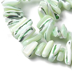 Dyed Natural Trochus Shell Beads Strands&nbsp;SSHEL-C013-09I