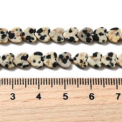 Natural Dalmatian Jasper Beads Strands&nbsp;LS-G-A272-A01-32
