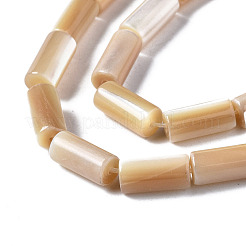 Natural Trochid Shell/Trochus Shell Beads Strands&nbsp;SSHEL-S266-020B-04