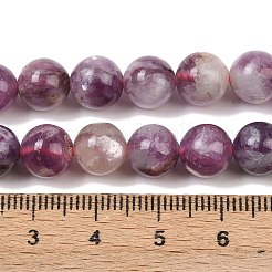 Natural Lepidolite/Purple Mica Stone Beads Strands&nbsp;G-G160-A01-01A