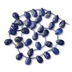 Natural Lapis Lazuli Beads Strands&nbsp;G-L654-K04-01