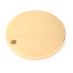 304 Stainless Steel Pendants&nbsp;STAS-O142-72G