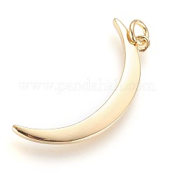 Brass Pendants&nbsp;KK-G364-11G