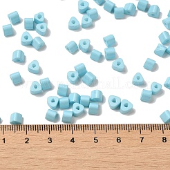 Baking Paint Glass Bead&nbsp;SEED-H002-K-D322