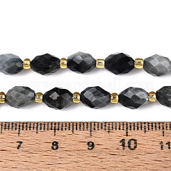 Natural Eagle Eye Stone Beads Strands&nbsp;G-N342-53-8x6-03