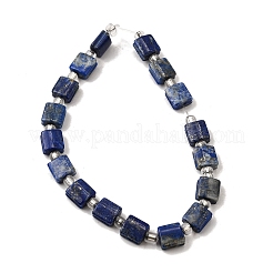 Natural Lapis Lazuli Beads Strands&nbsp;G-Z087-D01