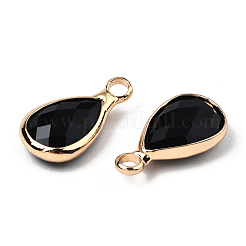 K9 Glass Charms&nbsp;GLAA-N038-21