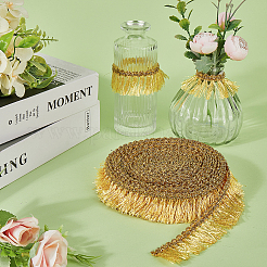 Polyester Tassel Lace Ribbons&nbsp;DIY-WH0530-70B