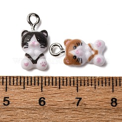 Opaque Resin Pendants&nbsp;RESI-P045-05P-M