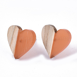 Transparent Resin & Wood Stud Earrings&nbsp;EJEW-N017-002A-D04