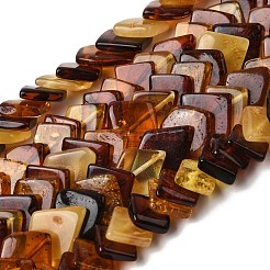 Natural Amber Beads Strands&nbsp;G-K376-C04-01