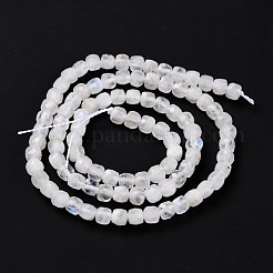 Natural Rainbow Moonstone Beads Strands&nbsp;G-K315-A11