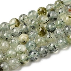 Natural Prehnite Beads Strands&nbsp;G-G457-8mm-03
