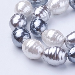 Shell Pearl Beads Strands&nbsp;BSHE-P030-03C
