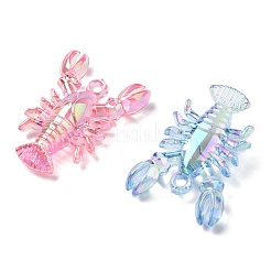 Electroplate Transparent UV Plating  Acrylic Big Pendants&nbsp;OACR-I014-10