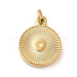 Ion Plating(IP) 304 Stainless Steel Coin Charms&nbsp;STAS-G295-16G