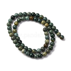 Natural Shoushan Jade Beads Strands&nbsp;G-L624-A01-6mm