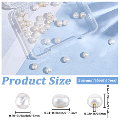 1 Strand Natural Cultured Freshwater Pearl Beads Strands&nbsp;PEAR-PA0001-02