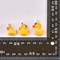 20Pcs 5 Styles Flocky Opaque Resin Pendants&nbsp;RESI-SZ0001-77