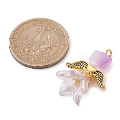 Transparent Acrylic and Glass Pendants&nbsp;PALLOY-JF02447-01