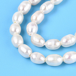 Natural Cultured Freshwater Pearl Beads Strands&nbsp;PEAR-N024-04-2AB