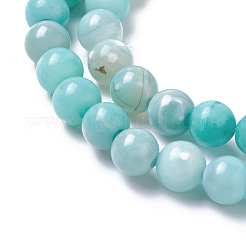 Natural Dyed Agate Imitation Turquoise Beads Strands&nbsp;G-P425-02A-6mm
